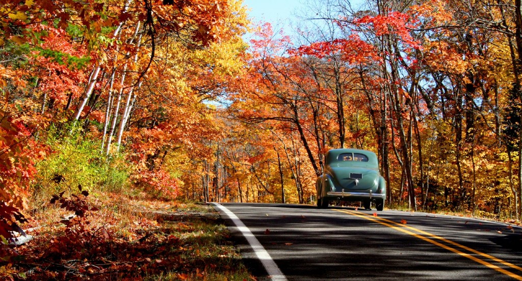 autos parfaites pour l’automne
